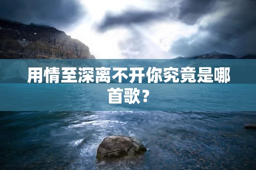 用情至深离不开你究竟是哪首歌？