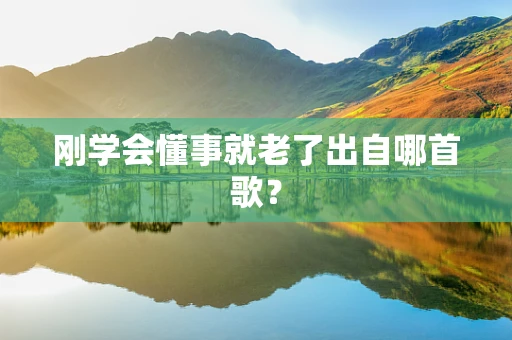刚学会懂事就老了出自哪首歌？