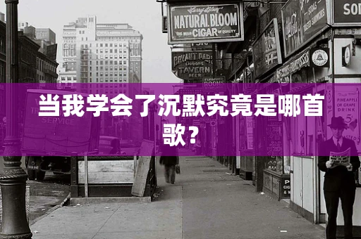 当我学会了沉默究竟是哪首歌？