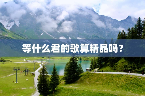 等什么君的歌算精品吗？
