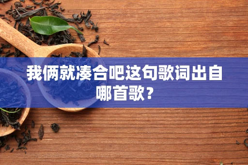 我俩就凑合吧这句歌词出自哪首歌？