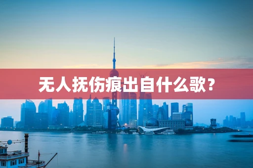 无人抚伤痕出自什么歌？