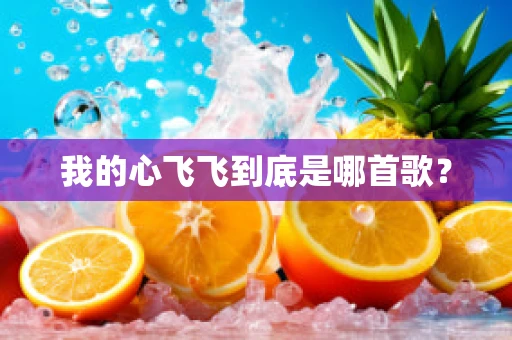 我的心飞飞到底是哪首歌？