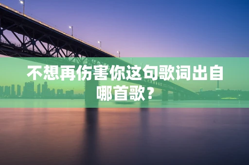 不想再伤害你这句歌词出自哪首歌？