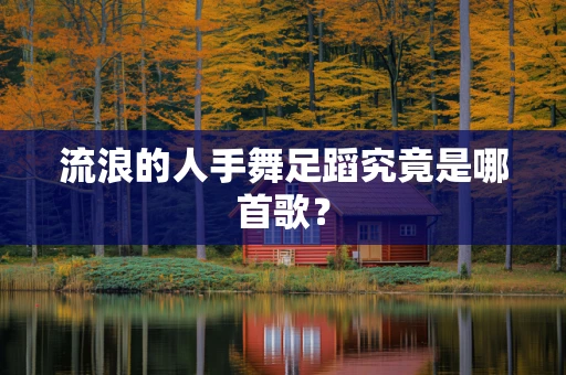 流浪的人手舞足蹈究竟是哪首歌？