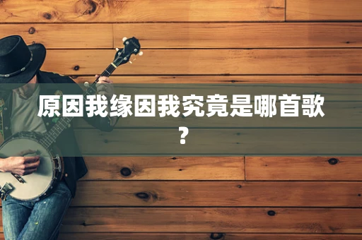 原因我缘因我究竟是哪首歌？