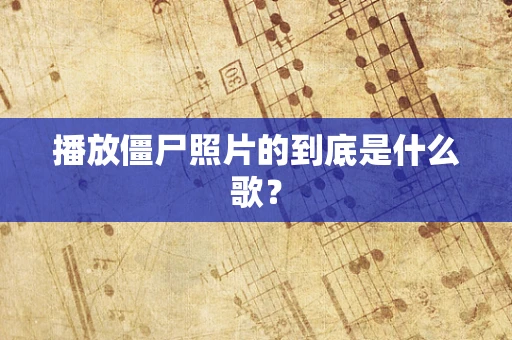 播放僵尸照片的到底是什么歌？