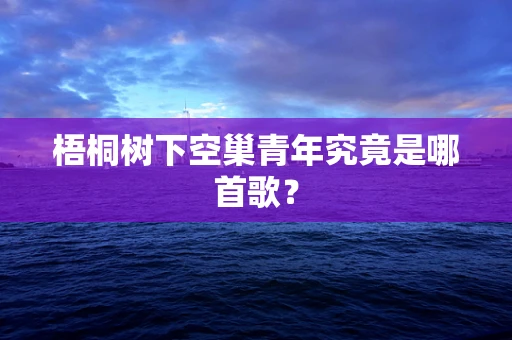 梧桐树下空巢青年究竟是哪首歌？
