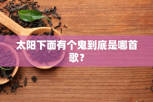 太阳下面有个鬼到底是哪首歌？