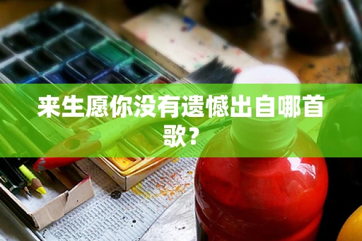 来生愿你没有遗憾出自哪首歌？