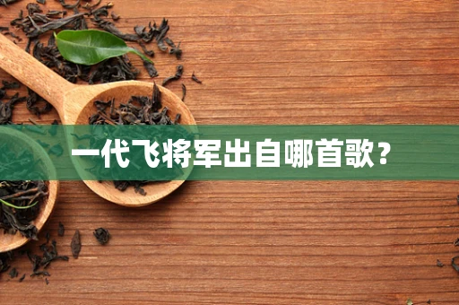 一代飞将军出自哪首歌？