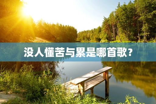 没人懂苦与累是哪首歌？
