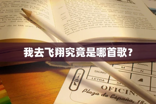 我去飞翔究竟是哪首歌？