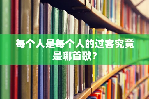 每个人是每个人的过客究竟是哪首歌？