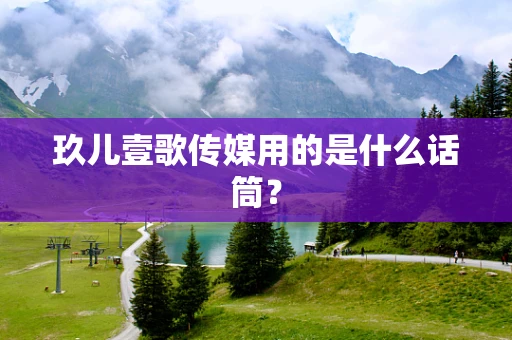 玖儿壹歌传媒用的是什么话筒？