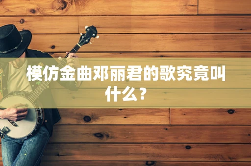 模仿金曲邓丽君的歌究竟叫什么？