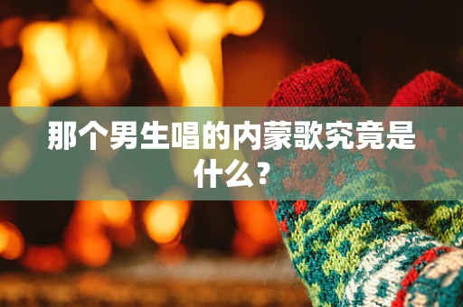 那个男生唱的内蒙歌究竟是什么？