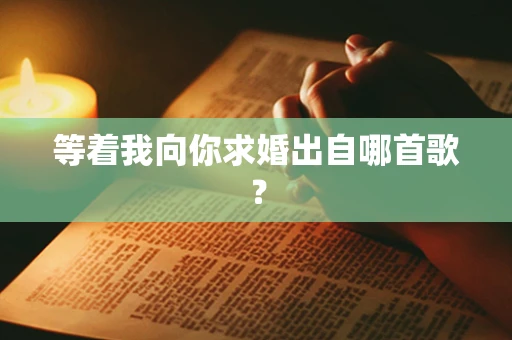 等着我向你求婚出自哪首歌？