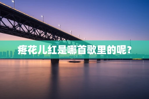 疼花儿红是哪首歌里的呢？