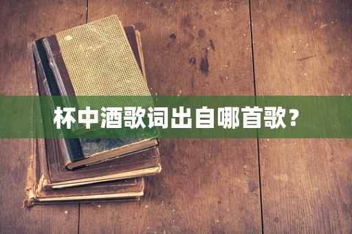 杯中酒歌词出自哪首歌？