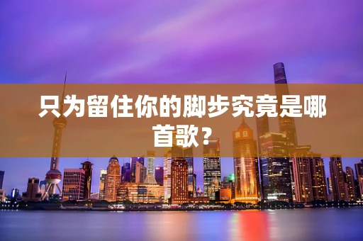 只为留住你的脚步究竟是哪首歌？