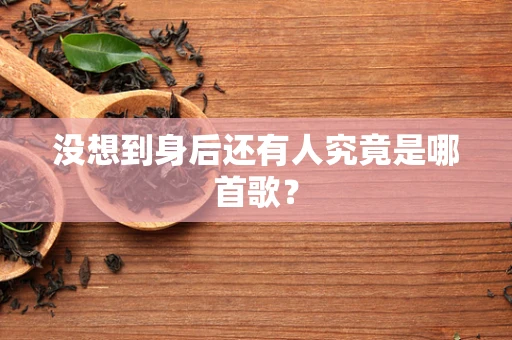 没想到身后还有人究竟是哪首歌？