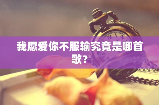 我愿爱你不服输究竟是哪首歌？