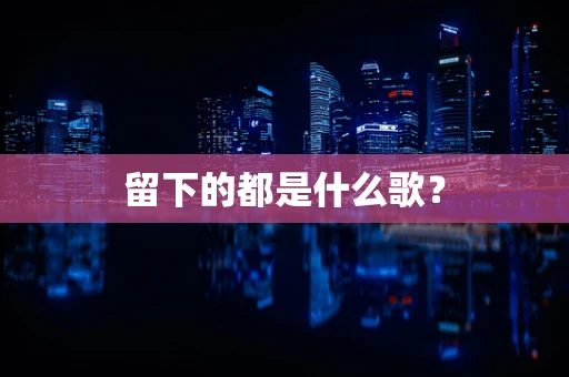 留下的都是什么歌？