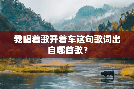 我唱着歌开着车这句歌词出自哪首歌？