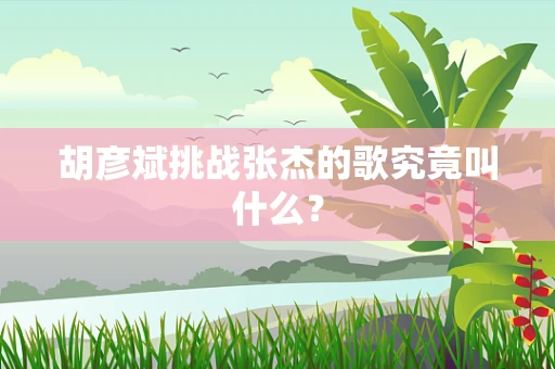 胡彦斌挑战张杰的歌究竟叫什么？