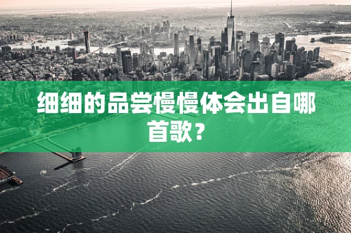 细细的品尝慢慢体会出自哪首歌？