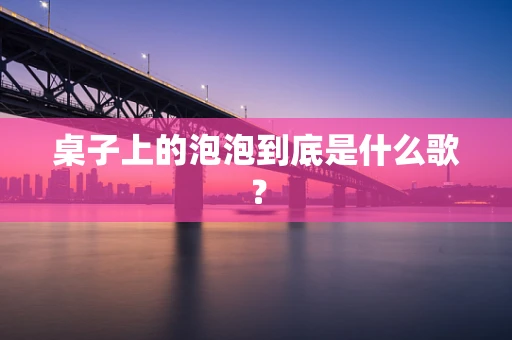 桌子上的泡泡到底是什么歌？