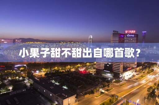小果子甜不甜出自哪首歌？