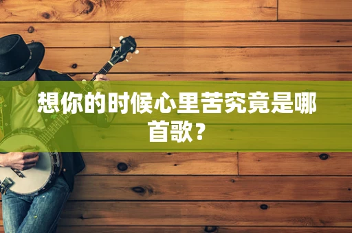 想你的时候心里苦究竟是哪首歌？