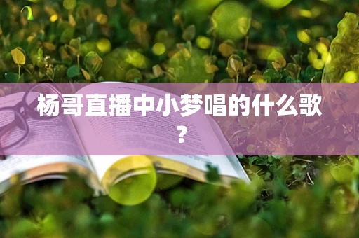 杨哥直播中小梦唱的什么歌？
