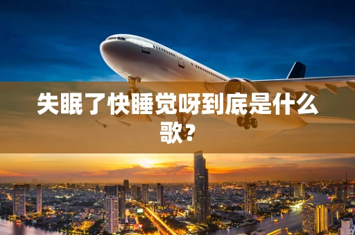 失眠了快睡觉呀到底是什么歌？