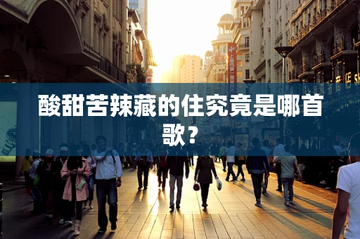 酸甜苦辣藏的住究竟是哪首歌？