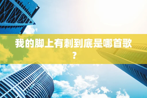 我的脚上有刺到底是哪首歌？