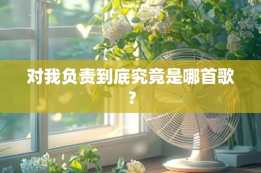 对我负责到底究竟是哪首歌？