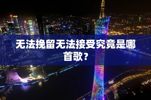 无法挽留无法接受究竟是哪首歌？