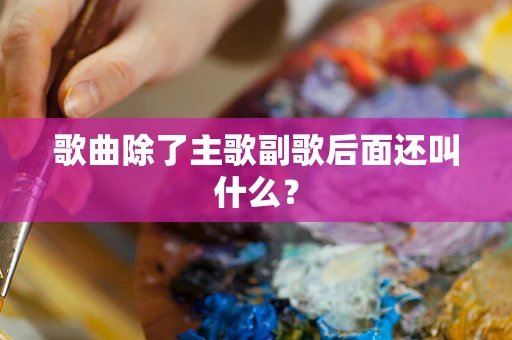 歌曲除了主歌副歌后面还叫什么？