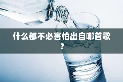 什么都不必害怕出自哪首歌？