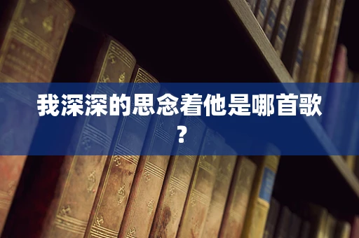 我深深的思念着他是哪首歌？