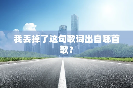 我丢掉了这句歌词出自哪首歌？