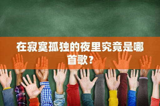 在寂寞孤独的夜里究竟是哪首歌？