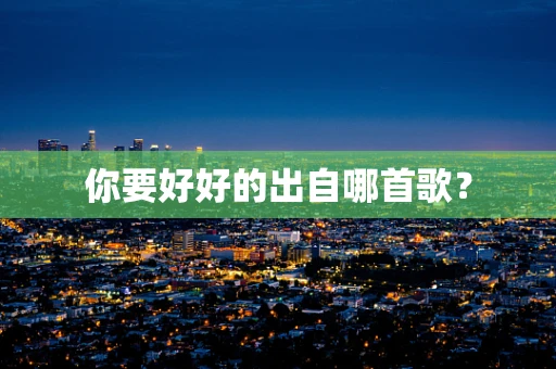 你要好好的出自哪首歌？