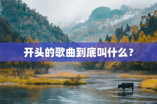 开头的歌曲到底叫什么？