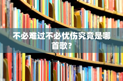 不必难过不必忧伤究竟是哪首歌？