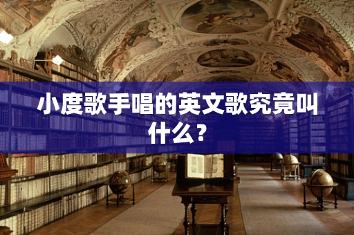 小度歌手唱的英文歌究竟叫什么？