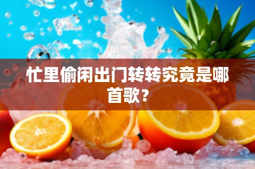 忙里偷闲出门转转究竟是哪首歌？